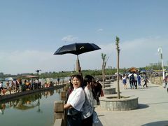 android_upload_pic-海宝公园