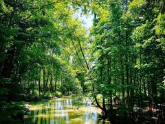 -桤木河湿地公园