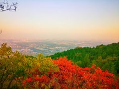 -鬼笑石后山停车场