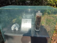 -广州神农草堂中医药博物馆