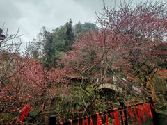 -车溪民俗旅游区