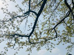 -木子山庄·安徽省老字号·中国炖锅宴