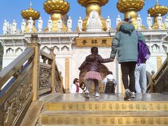 -上海东林寺(金山区)