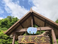 -野象谷景区