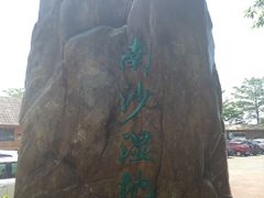 -大湾区中央湿地公园