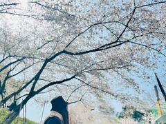 -杭州少年儿童公园