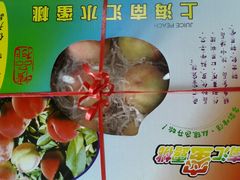 -南汇新场正宗水蜜桃采摘