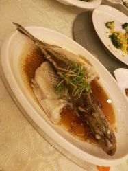 -华东饭店·园林式婚礼宴会厅酒店