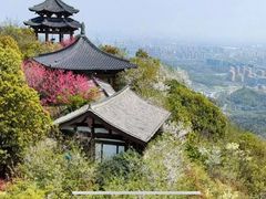 -杭州半山国家森林公园