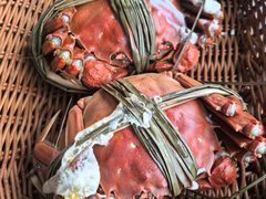 -渔娘蟹庄(阳澄湖莲花岛店)