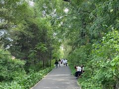 -黑龙江省森林植物园