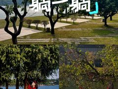 -东莞松山湖凯悦酒店