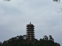 -缙云山景区