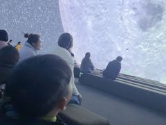 -海合安武汉极地海洋公园