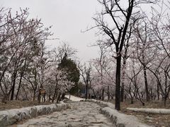 -妙峰山风景名胜区