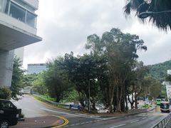 -大埔公路-马料水段香港中文大学(公交站)