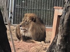 -昆明动物园