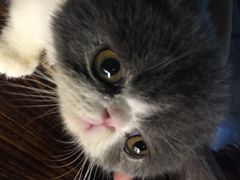 iphone_upload_pic-赢吧Bliss音乐酒吧