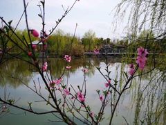 -江墅铁路遗址公园