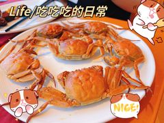 -视界美食自助餐厅·石家庄希尔顿酒店