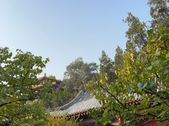 -宫事颐庭·老佛爷贵寿下午茶(颐和园店)