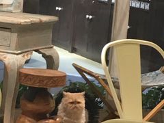 -小时光咖啡馆(开森度假森林店)