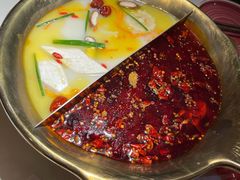 骨汤菌汤辣牛油锅底-九鼎轩脆毛肚火锅(三钢里店)