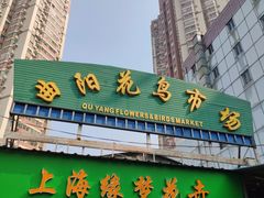-曲阳花鸟市场(曲阳路店)