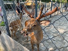 -长白岛森林公园