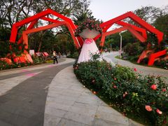 -人民公园(罗湖区)