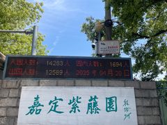 -嘉定紫藤园