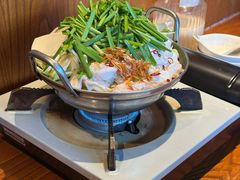 博多牛肠火锅-九州酒场ひこぞう(1号店)