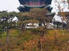 -迎泽公园