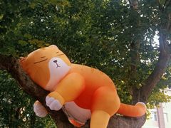 -西安电影制片厂