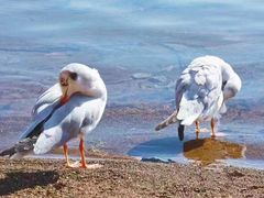 -丽江泸沽湖景区