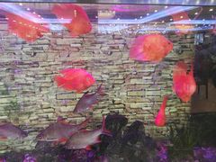 -潮喜竹溪荔湖酒家(荔枝湾店)