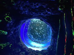 -白鹿仓冰雪海洋世界
