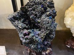 -游龙石文化科普馆