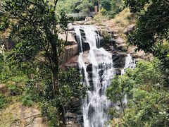 -海南热带雨林国家公园吊罗山景区