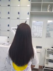 -YESIDO椰岛造型