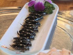 -美未居·老字号·地道顺德菜·桑拿鸡·鱼生(容桂店)