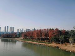 -三垟湿地