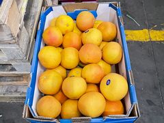 -上海龙吴水胜海发市场