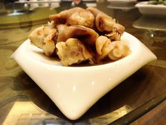 -蔡阿水羊肉店