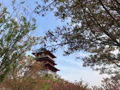 -古柏渡飞黄旅游区