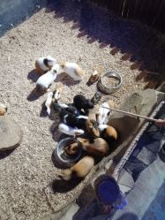 点击看大图 -酷嗒动物文化乐园(cutezoo西溪乐天城店)