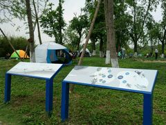 -白鹭湾湿地公园