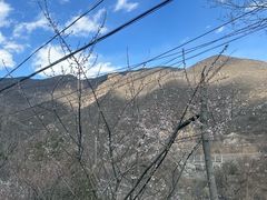 -妙峰山风景名胜区