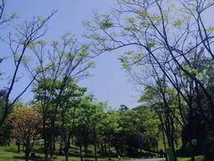 -牛岗山公园