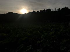 -吴山路夜市